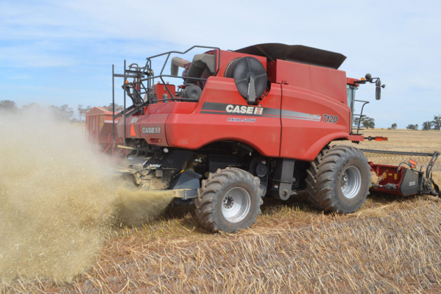 Lyndoch Motors and Seed Terminator working together image